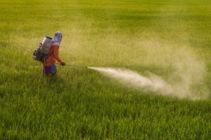 man applying herbicide to crops